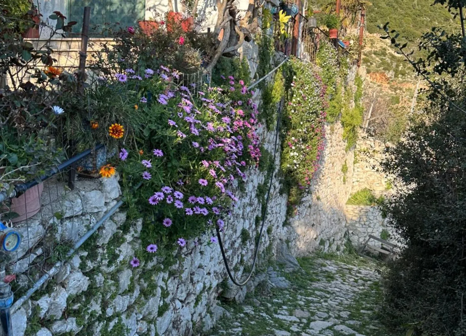 Holiday home Ana & Angelo House Vuno Himare Villa